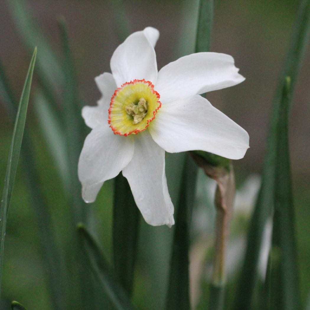 Vector Product Images