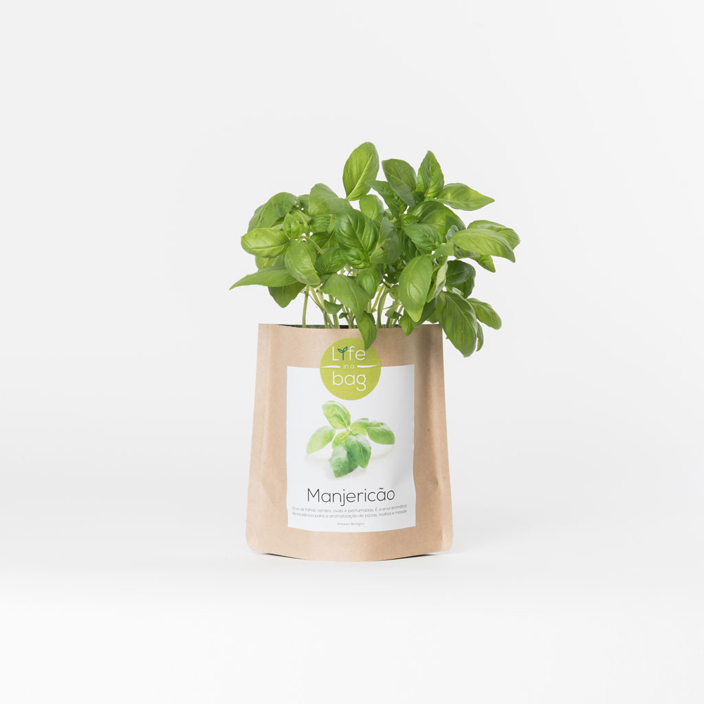 Image of craft paper bag with basil growing out of the top