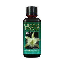 Orchid Focus – Grow