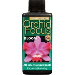 Orchid Focus – Bloom