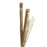 Bamboo Canes Bulk Bundle