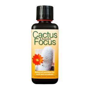 Cactus / Succulent – Feed / Nutrition