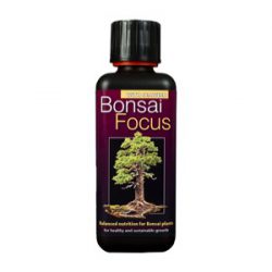 Bonsai – Feed / Nutrition