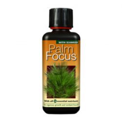 Palm – Feed / Nutrition