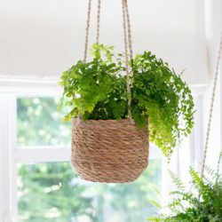 Hanging Plant Pot Short – Sea Grass