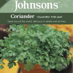 Coriander Cilantro For L