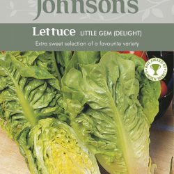 Lettuce Little Gem