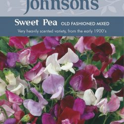 SWEET PEA Old Fashioned Mixed