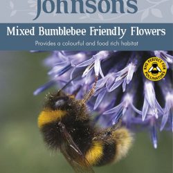 Wild Mix – Bumblebee Friendly Flowers