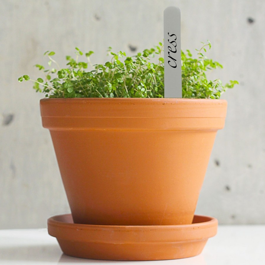 Plantpak Plant Labels - Pack of 40 - Image 3