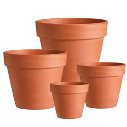 Standard Terracotta Pot – Cotto Garden