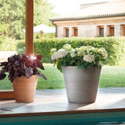 Terracotta Planter Bowl – White Garden