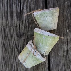 Antiqued Whitestone Cactus Pot