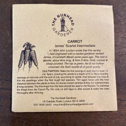 Carrot – James Scarlet Intermediate