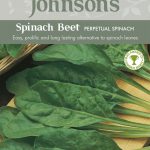 SPINACH BEET Perpetual S