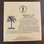 Kale – Nero di Toscano