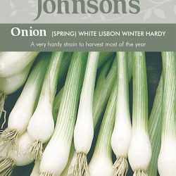 ONION (Spring) White Lis
