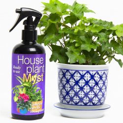House Plant Myst – Spray