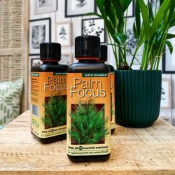 Palm – Feed / Nutrition
