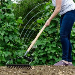 CS Long Handled Soil Rake