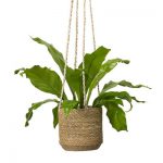 Belle Hanging Pot – Nature