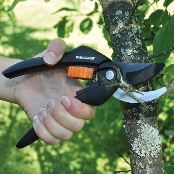 DISC Fiskars P26 Single Step Bypass Pruner - The Nunhead Gardener