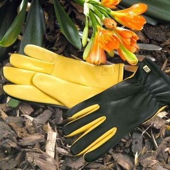 Ladies Gloves - Dry Touch - Image 2