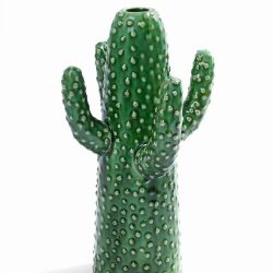 Cactus medium