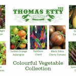 Gift Box  – Colourful Vegetable Collection