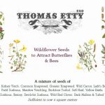 Gift Box  – Butterfly & Bee