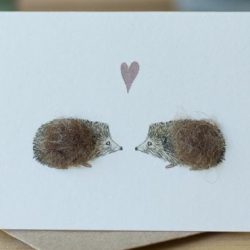 Mini Hedgehogs in Love