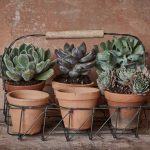 Jara Terracotta Planter Set