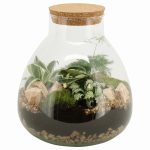 Compo Terrarium 90078