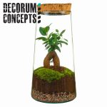 Compo Terrarium