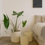 Honest Pot Matt Cream