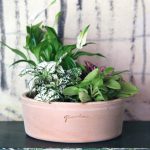 Poterie Goicoechea – Coupe Basse