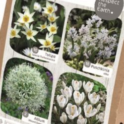 Wildlife Blooms – Creamy White Collection