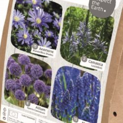 Wildlife Blooms – Blue Collection
