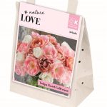 Tulip ‘Pastel Collection’