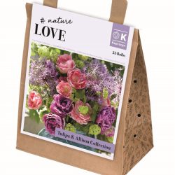 Tulip & Allium Collection