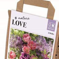 Tulip & Allium Collection