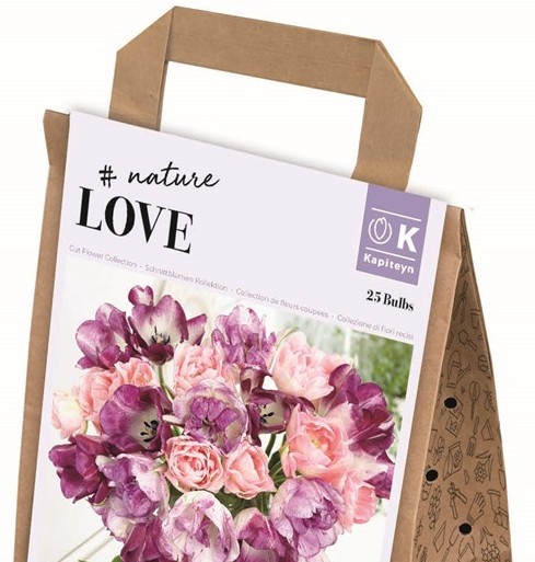 Tulip Purple & Pink Collection - Image 2