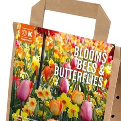 Blooms, Bees & Butterflies