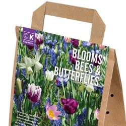 Blooms, Bees & Butterflies