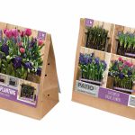 Lasagne Planting – Purple, Including Iris