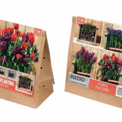 Lasagne Planting Collection