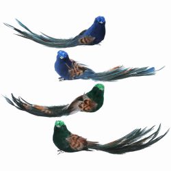 Feather Bird