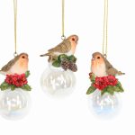 Robin on Soap Bubble