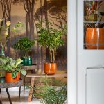 Pablo Pot – Dark Green