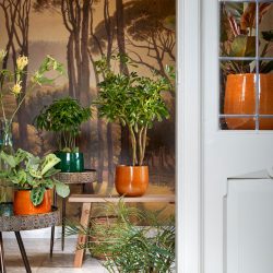 Pablo pot dark green